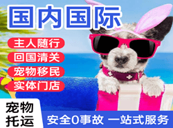 梅县机场快递国际宠物托运 【国